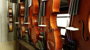 Rockley Family Foundation | Violins